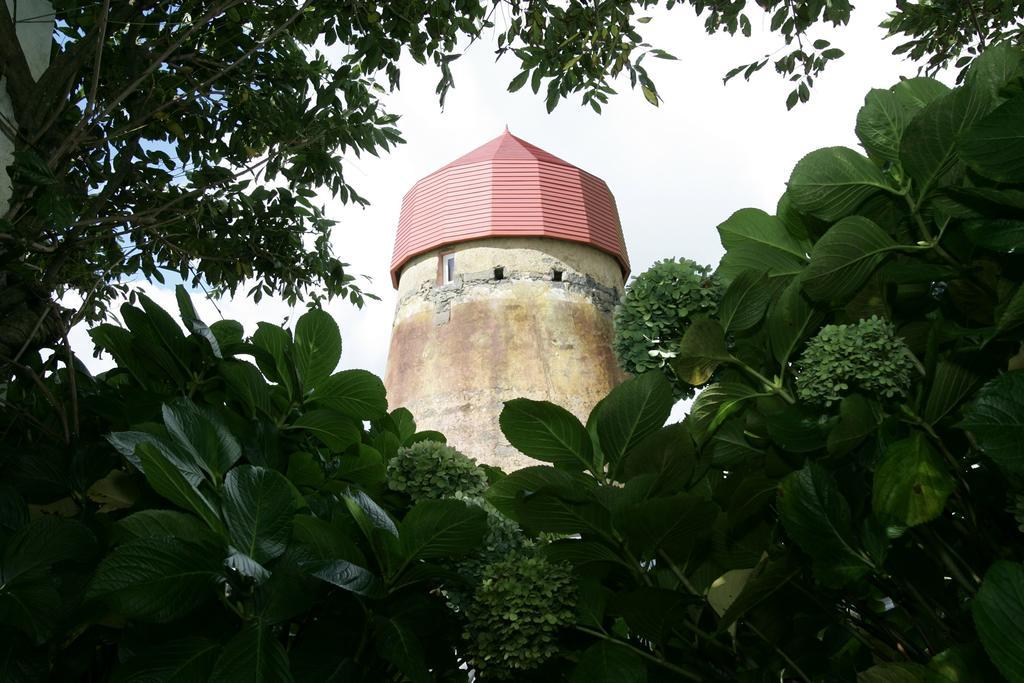 O Moinho Da Bibi Vila Candelária Exterior foto